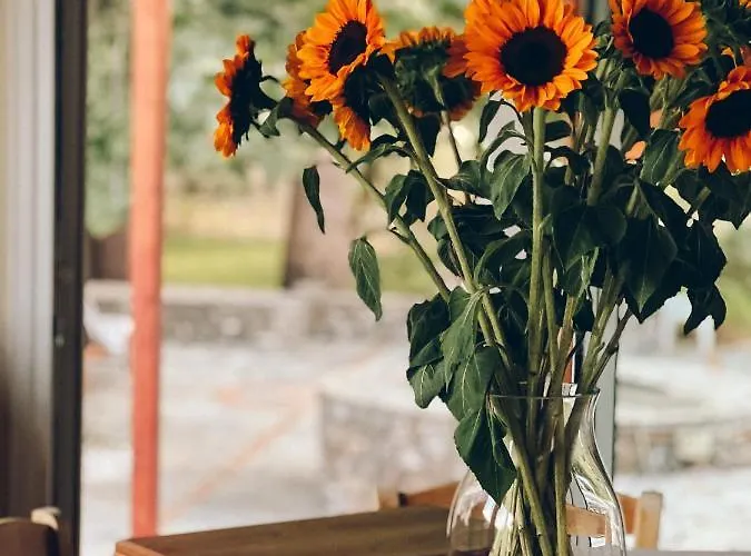 Prázdninový dům Petrochori House